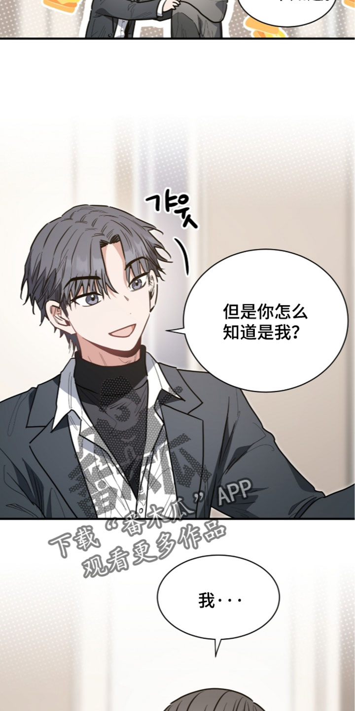 星光与谎言漫画,第81章：脑子里面都说你4图