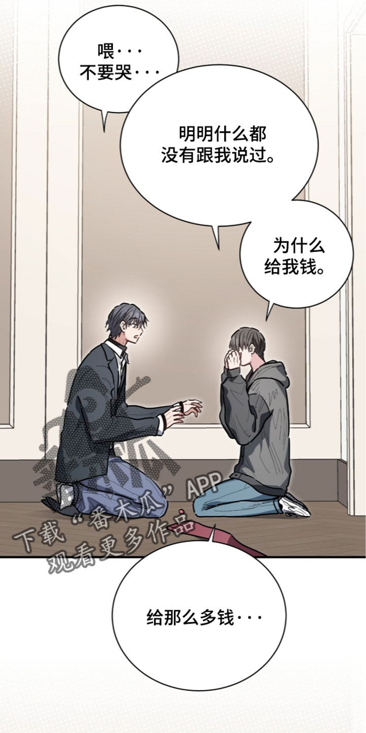 星光与谎言漫画,第81章：脑子里面都说你3图