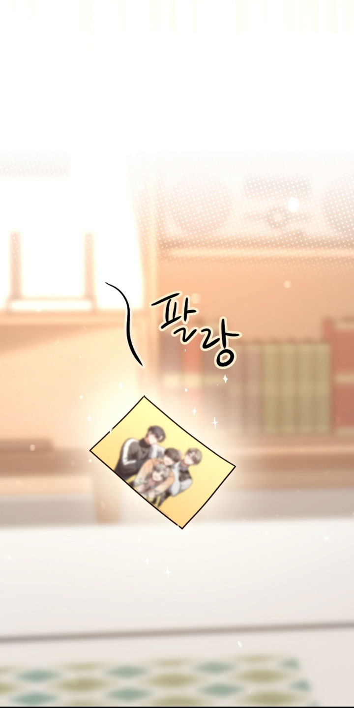 星光与谎言漫画,第84章：祝福你们幸福【完结】2图