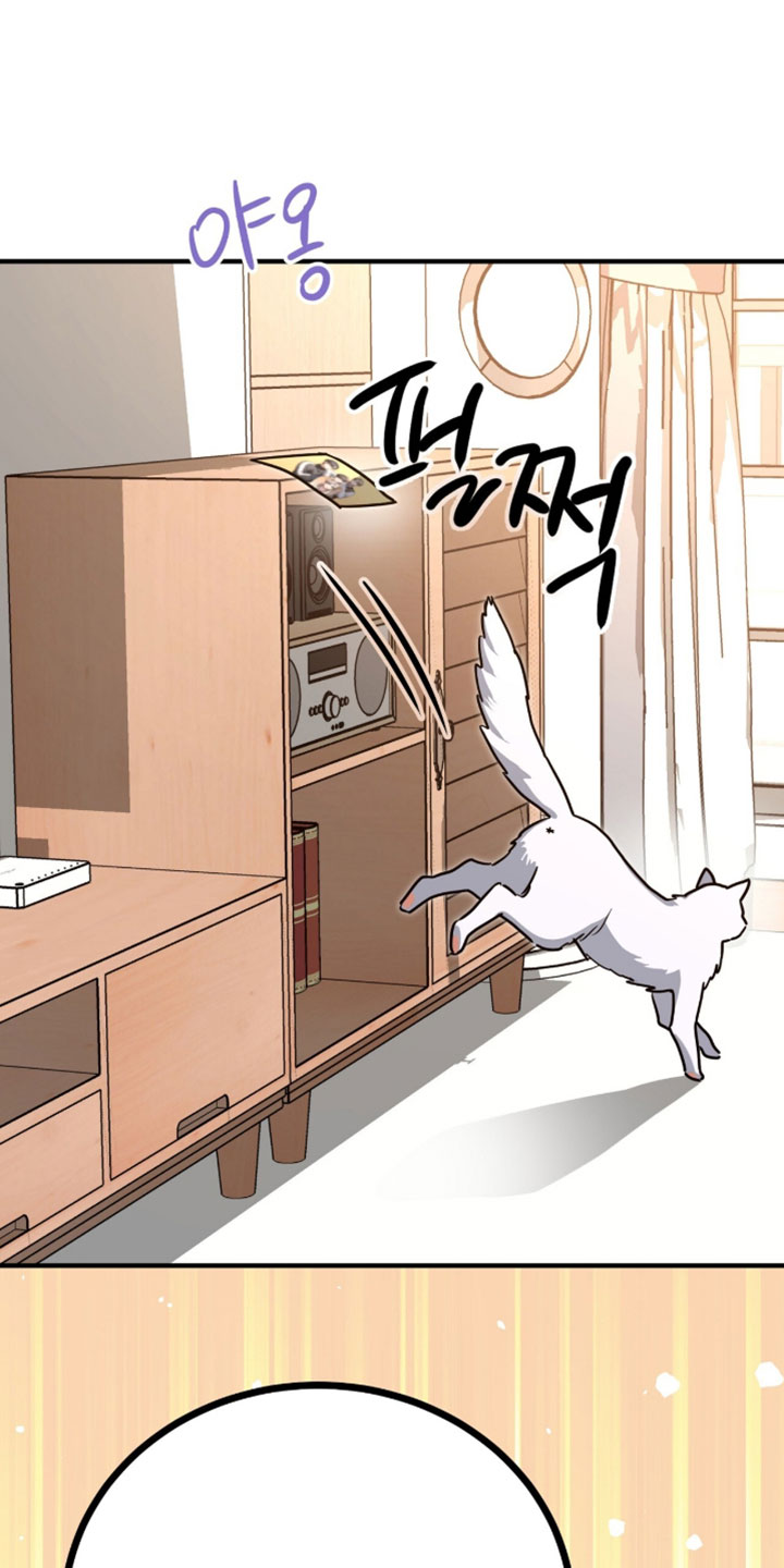 星光与谎言漫画,第84章：祝福你们幸福【完结】5图