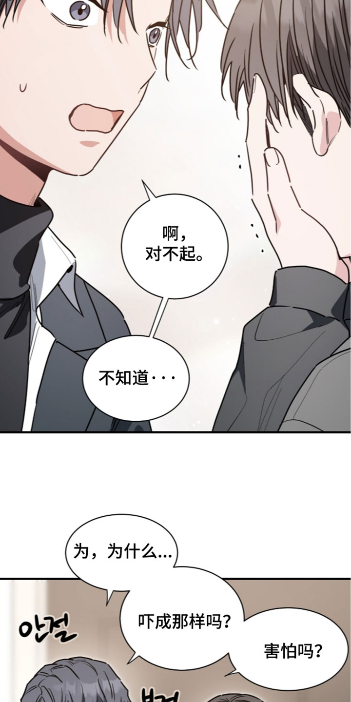 星光与谎言漫画,第81章：脑子里面都说你4图