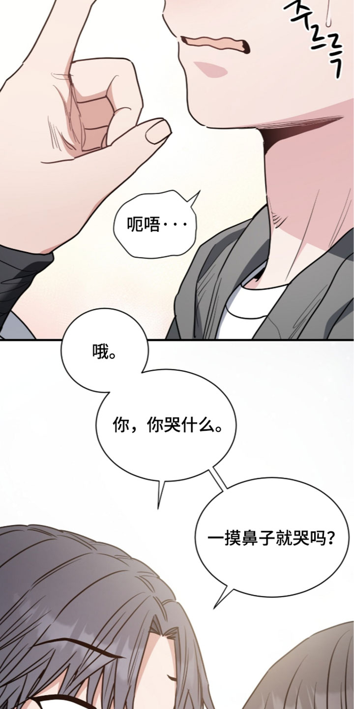 星光与谎言漫画,第81章：脑子里面都说你3图