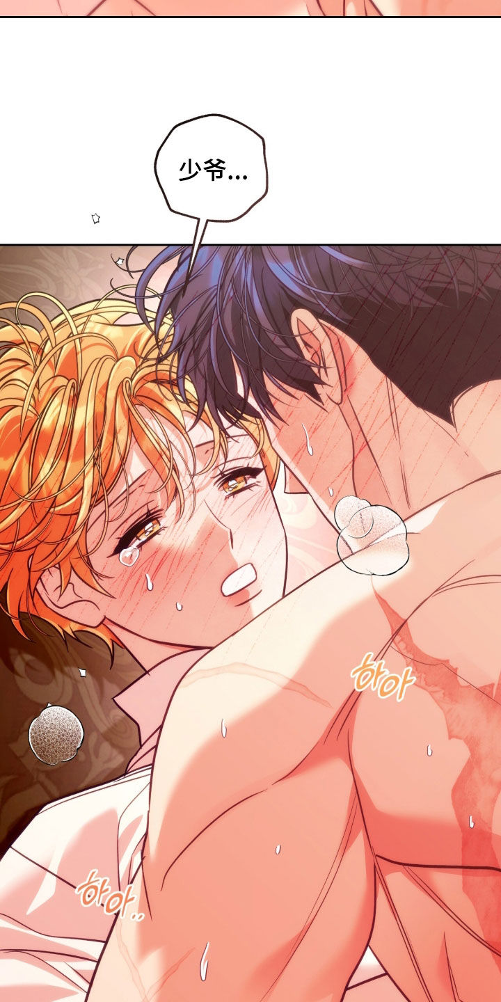 少爷的金鱼仆从漫画,第62章：谢谢你4图