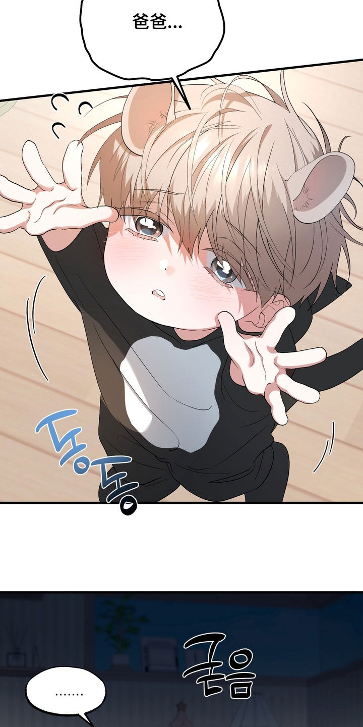 我的老鼠学长漫画,第54章：是你生的2图