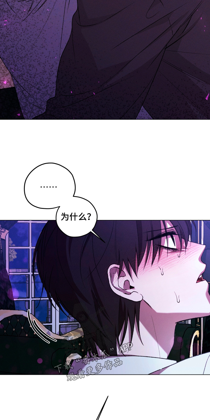 恶魔的邀约漫画,第44章：为什么回来3图