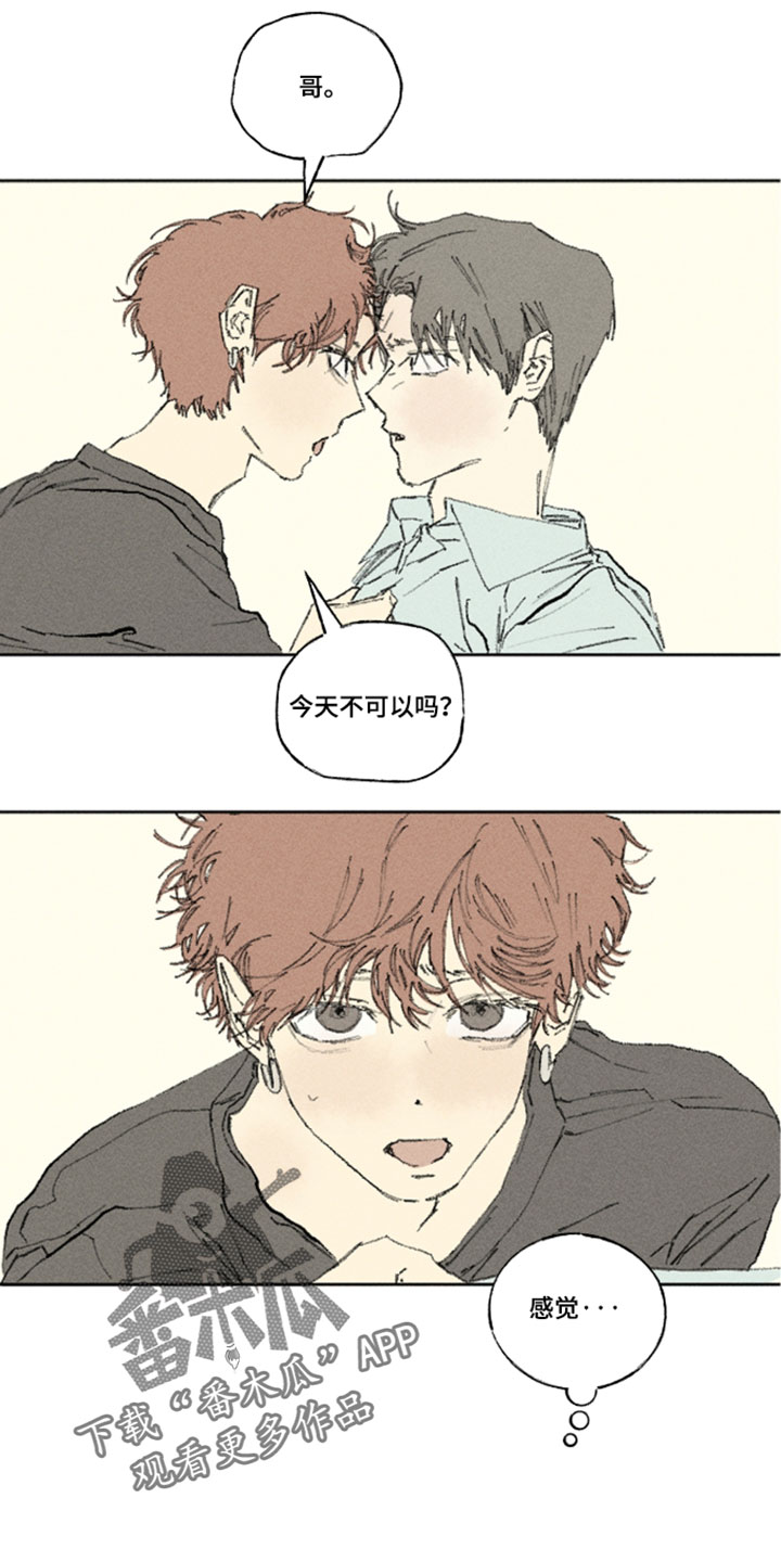 第53章：回来了1