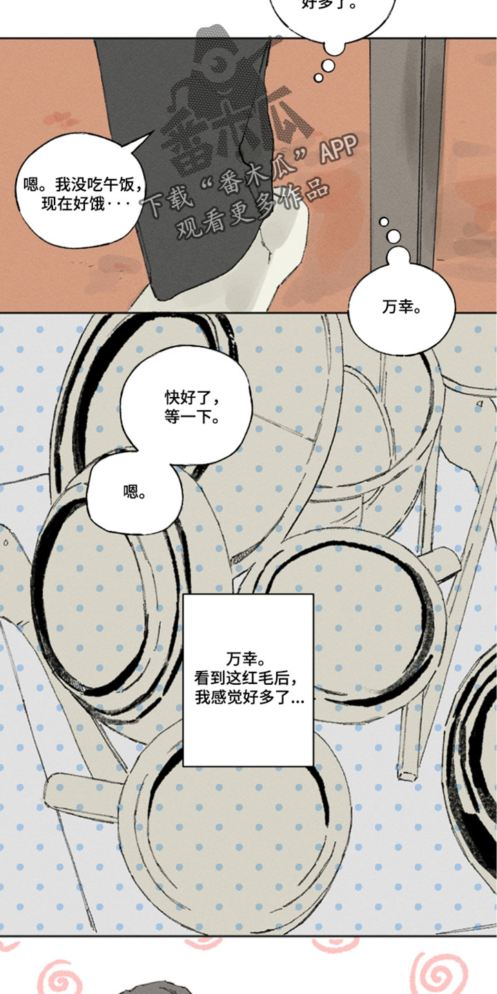 第53章：回来了1