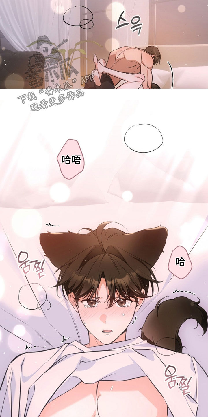 我的黑猫男友小短篇漫画,第59章：诱人又美味5图