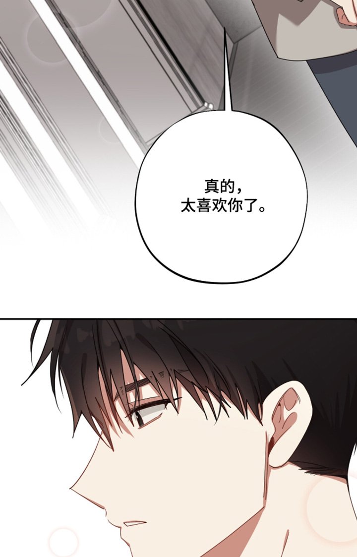 心窗之外漫画,第68章：那就一起住5图