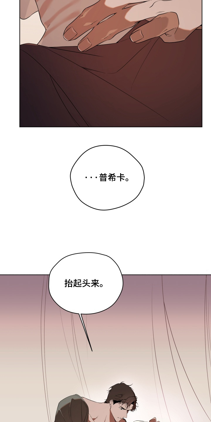仇海情渊漫画,第36章：谁干的4图