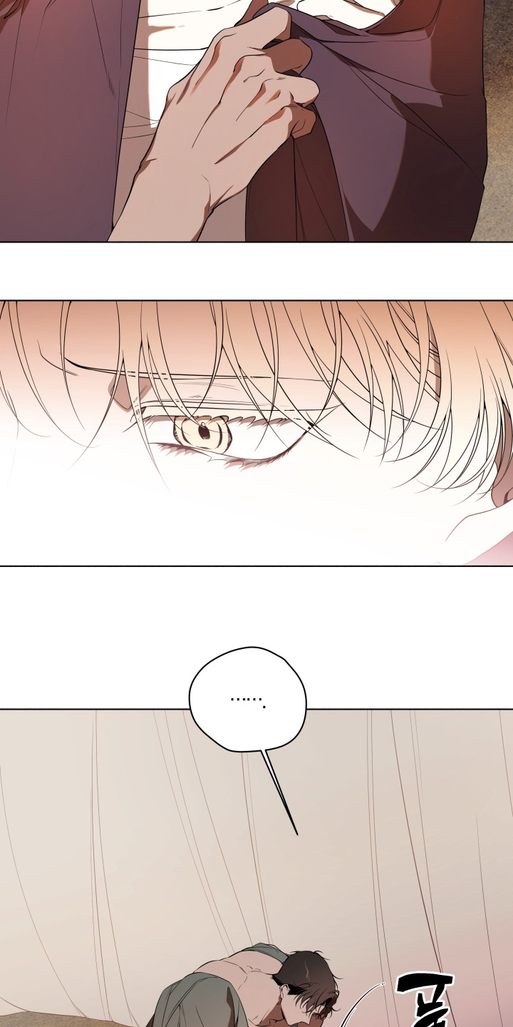 仇海情渊漫画,第36章：谁干的1图