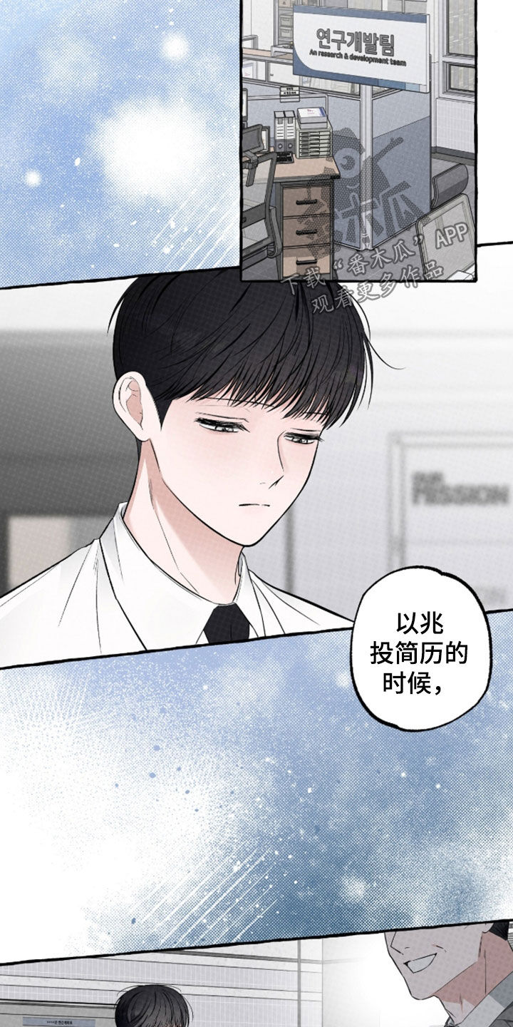 我的同事是冰山漫画,第53章：得找自己的路5图