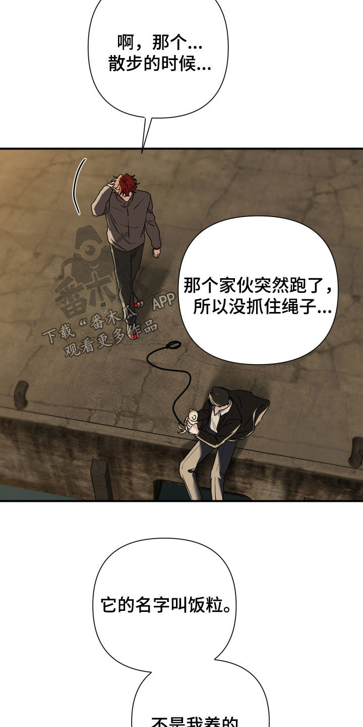 余烬相思烬成霜免费观看漫画,第37章：饭粒3图
