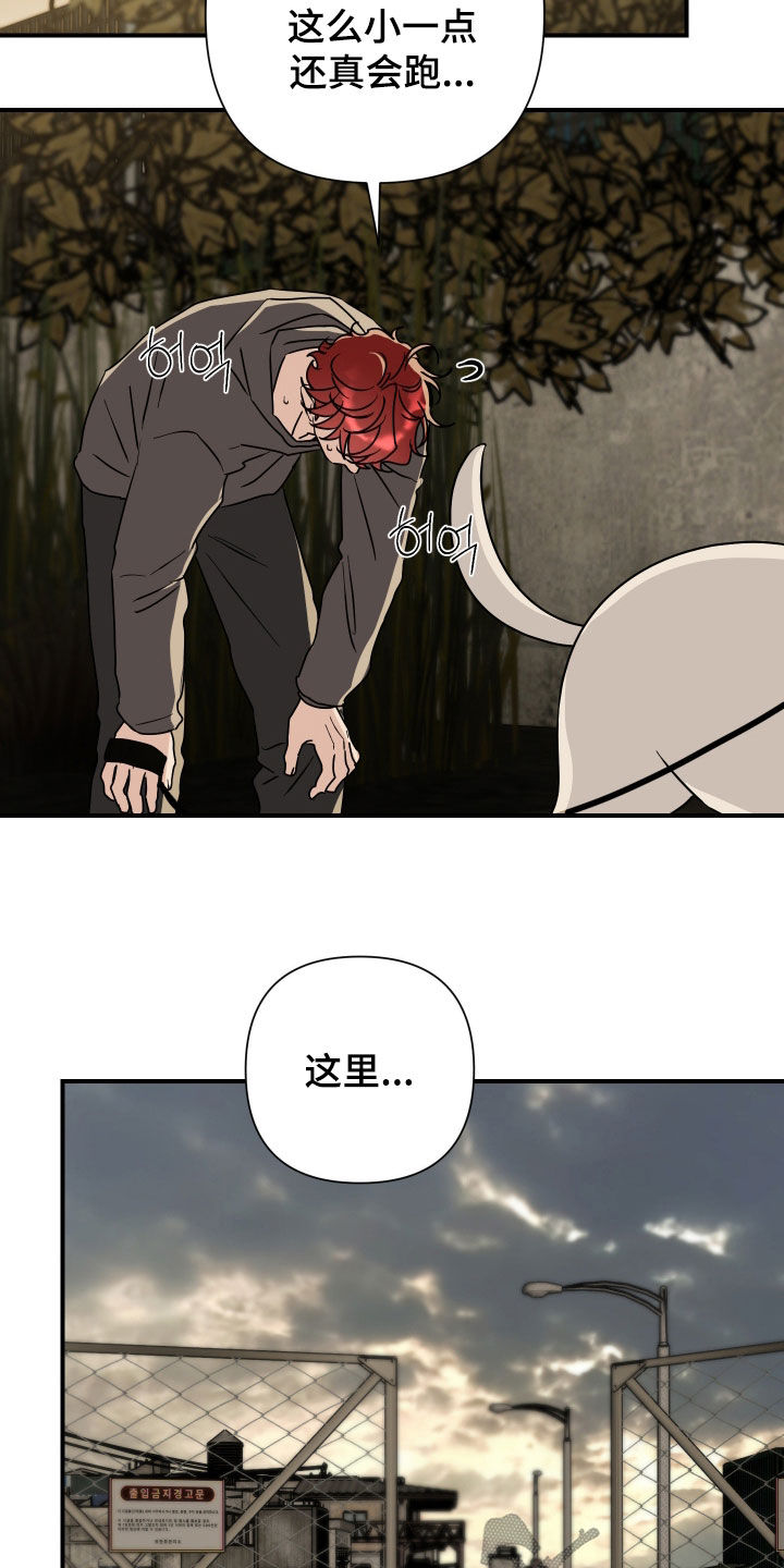 余烬相思烬成霜免费观看漫画,第37章：饭粒5图