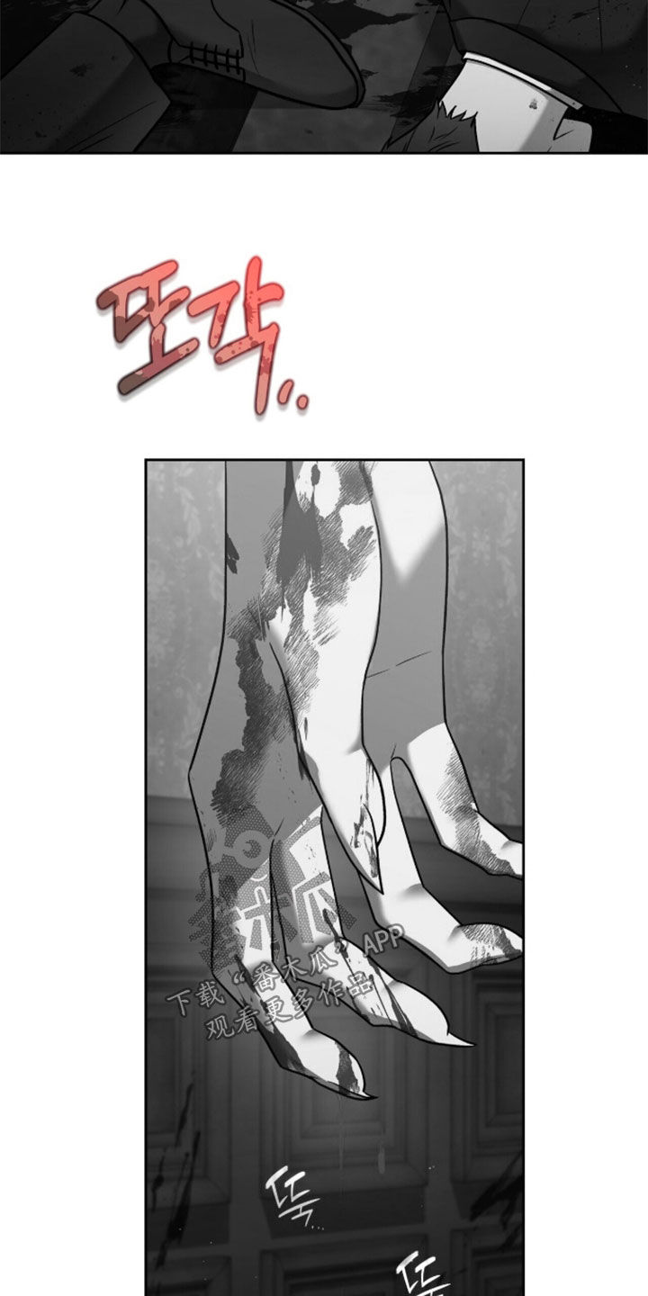 金眼陷阱猎人培训漫画,第53章：首要任务5图