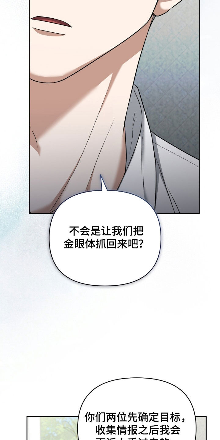 金眼黑龙王帝天漫画,第45章：潜入3图