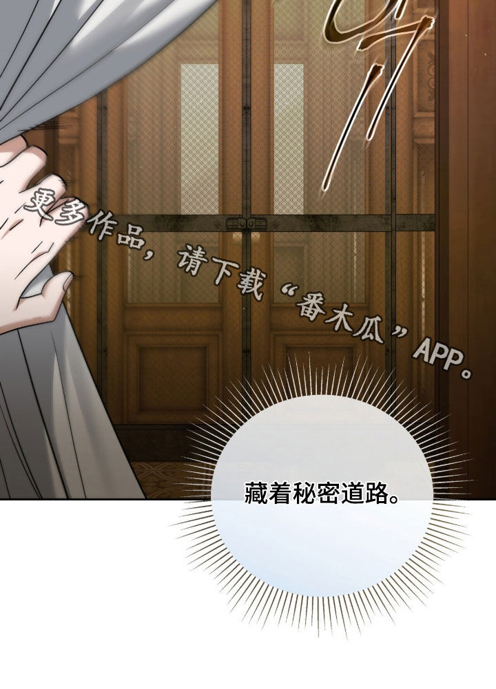 金眼陷阱剧情解析漫画,第46章：秘密通道2图
