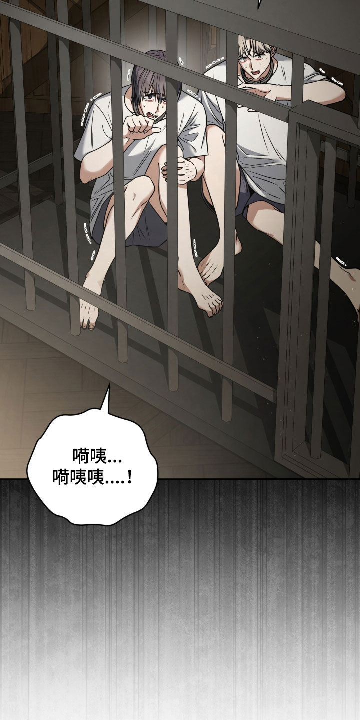 金弹子陷阱有哪些漫画,第48章：解救4图