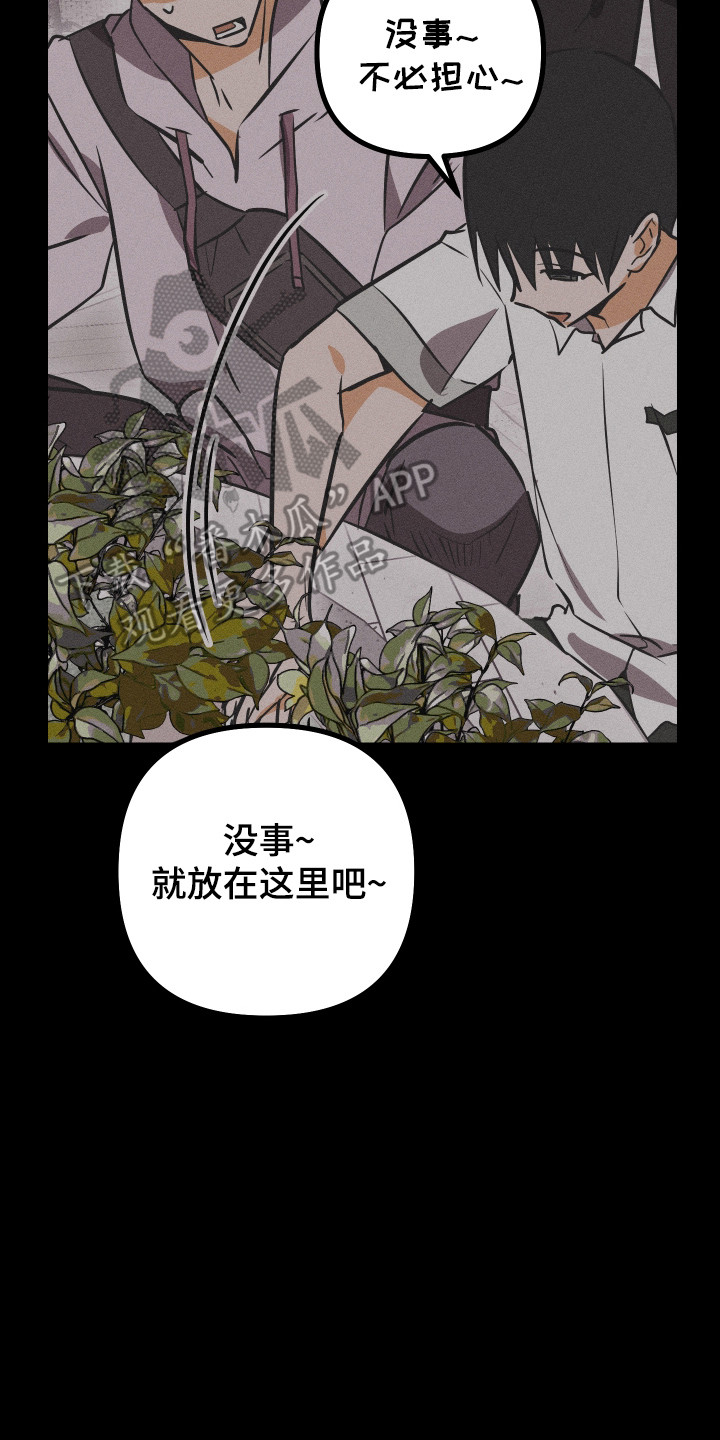 心跳加速遇难记漫画漫画,第54章：心愿完成5图