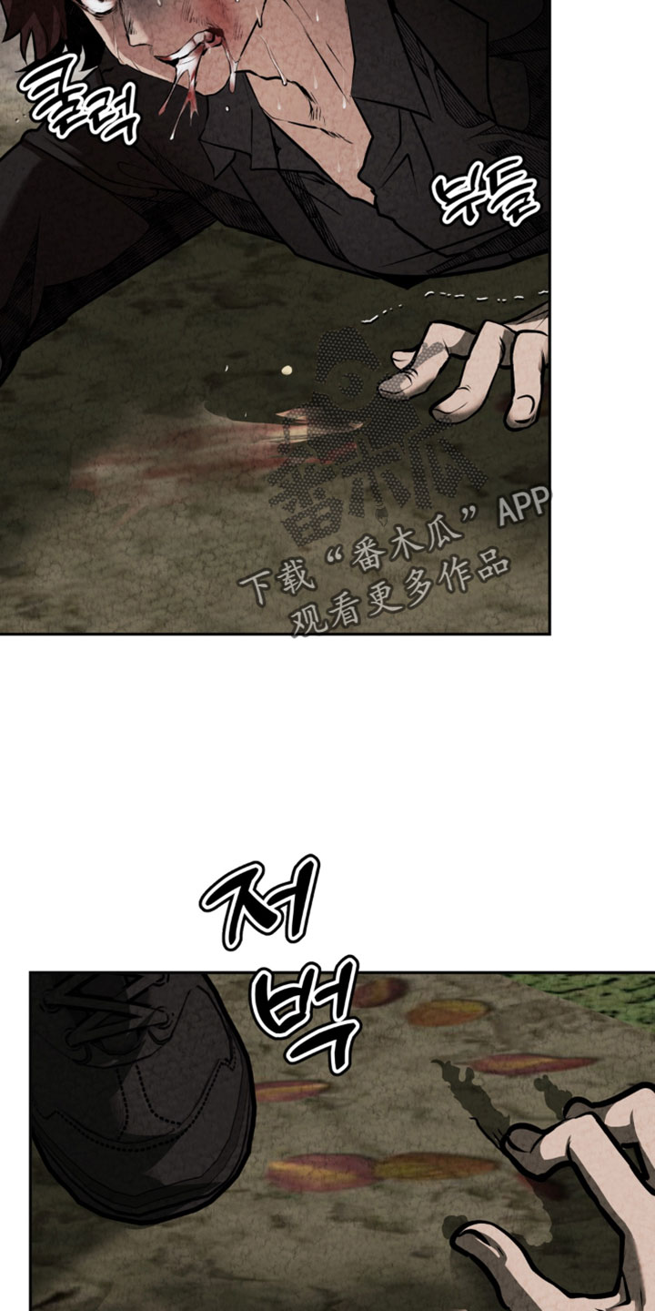落饵之日漫画更新时间漫画,第41章：我为什么要抛弃你5图