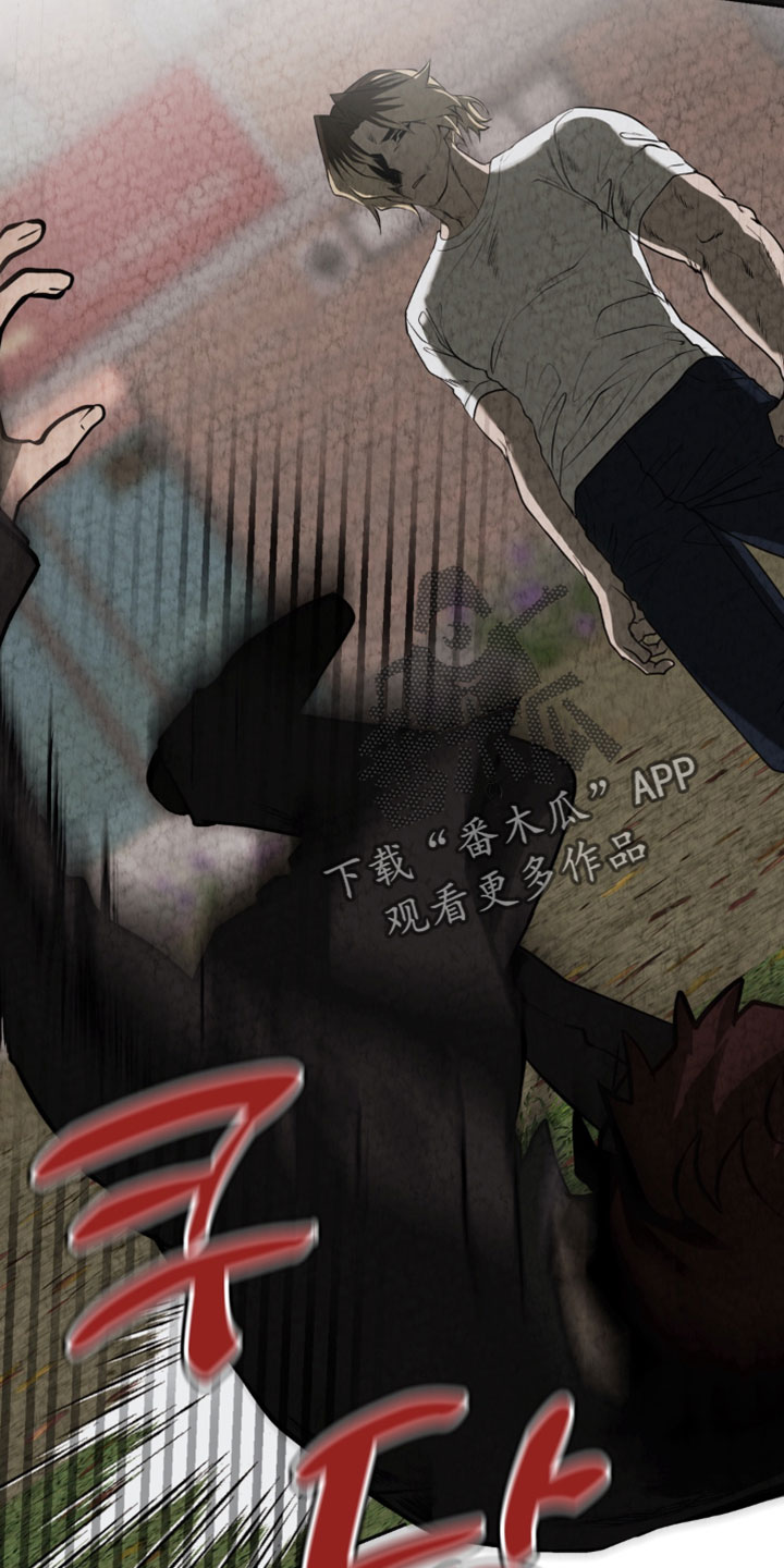 落饵之日漫画更新时间漫画,第41章：我为什么要抛弃你1图
