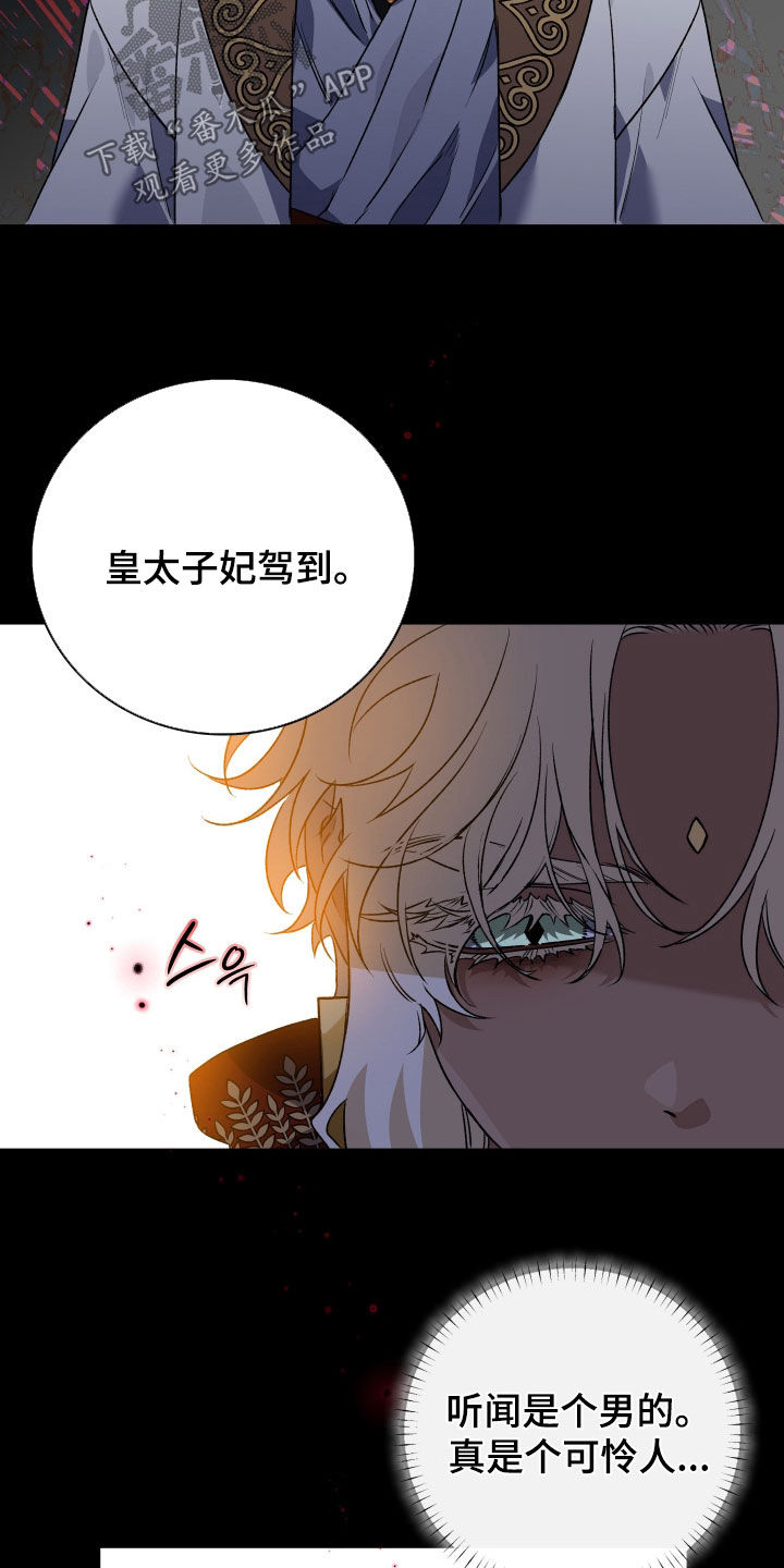白夜的花路cp漫画,第54章：我一定是疯了1图