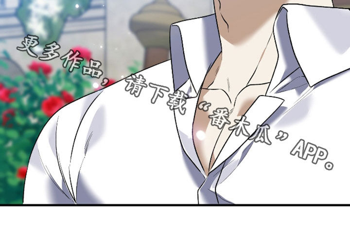 白夜的花路小说漫画,第55章：夺妻之恨2图