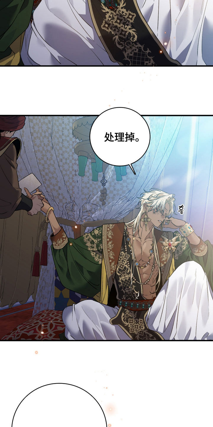 白夜的花路在线看漫画,第52章：册封仪式4图