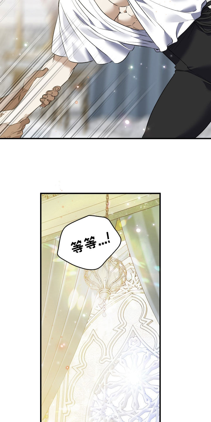 白夜的花路韩漫漫画,第51章：做出牺牲2图