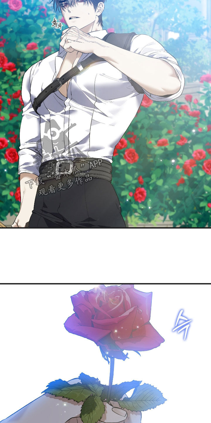 白夜的花路完整版在线阅读漫画,第55章：夺妻之恨4图