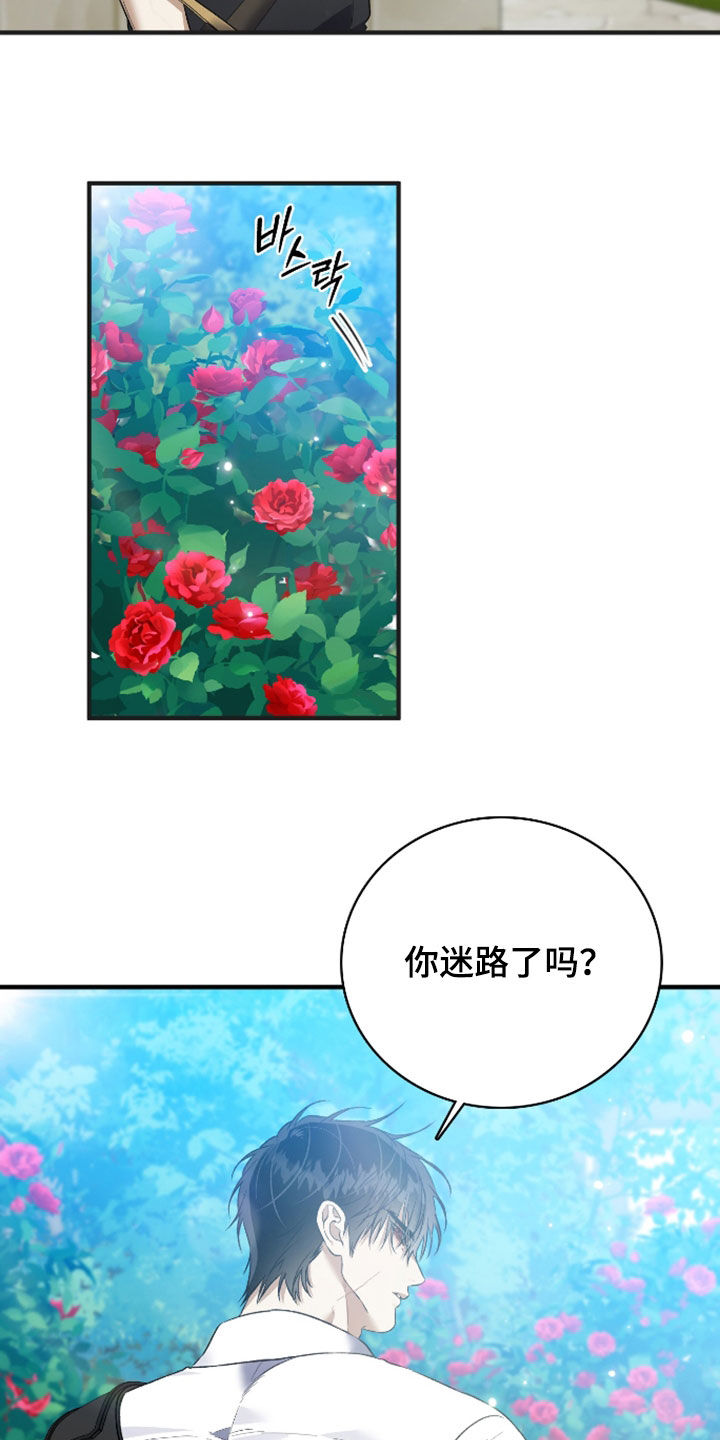 白夜的花路小说漫画,第55章：夺妻之恨1图