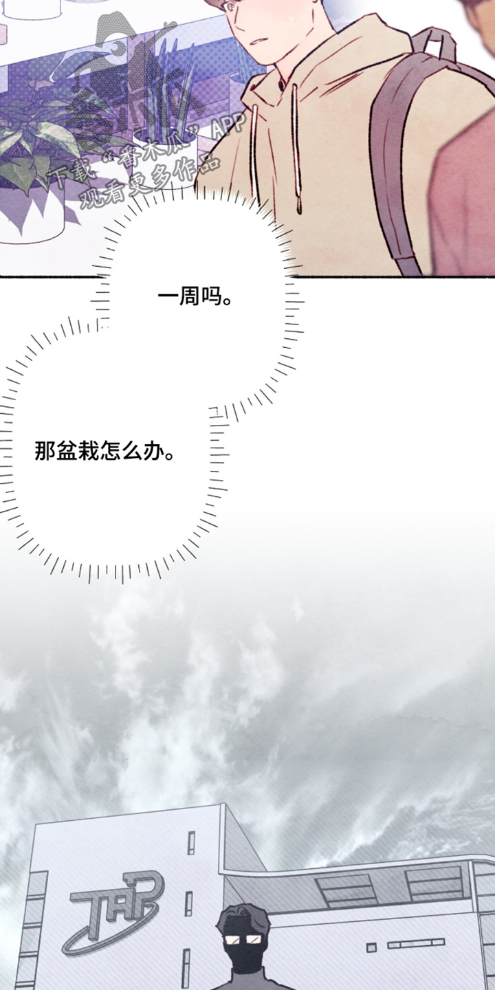枕边全文免费阅读全文漫画,第48章：一周左右2图