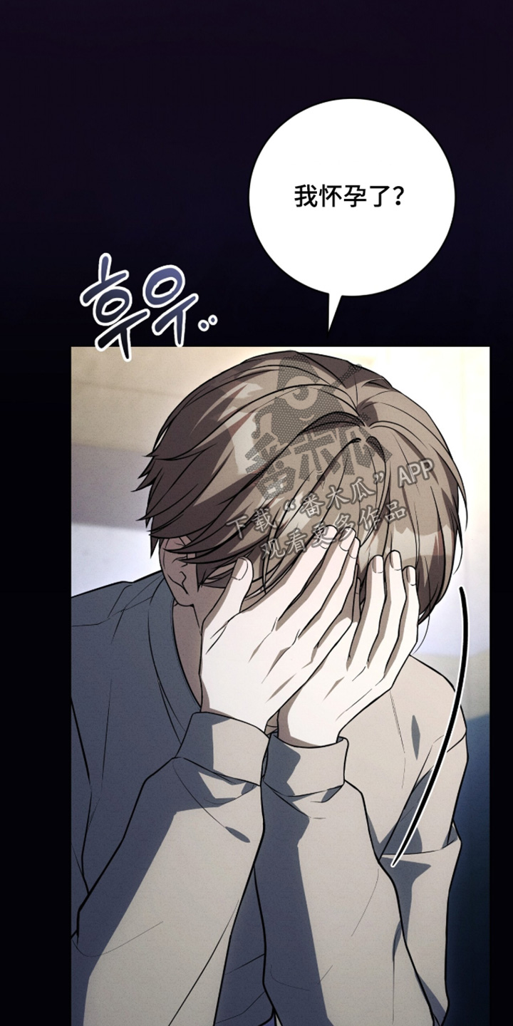 ABO符号漫画,第74章：怀孕了4图