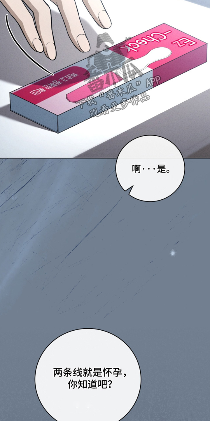 ABO符号漫画,第74章：怀孕了1图