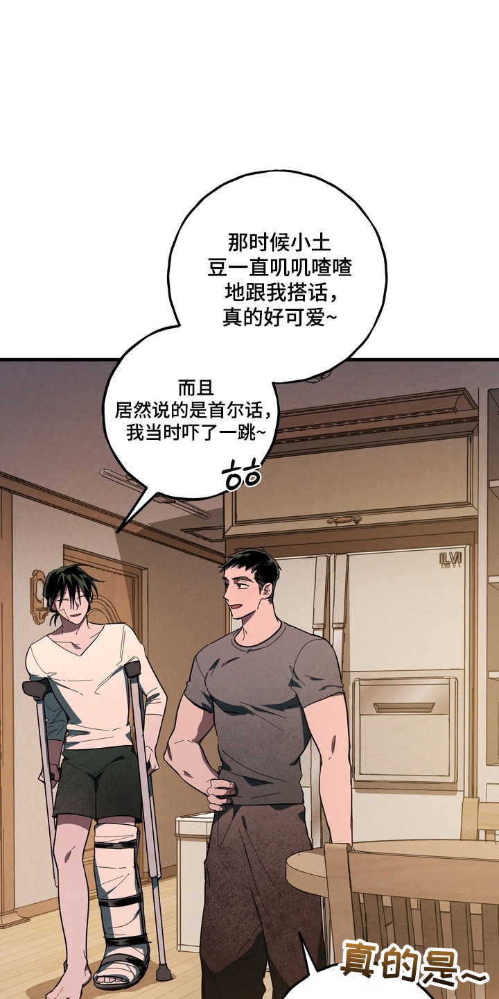 伪人室友类似漫画漫画,第45章：关系崩塌4图