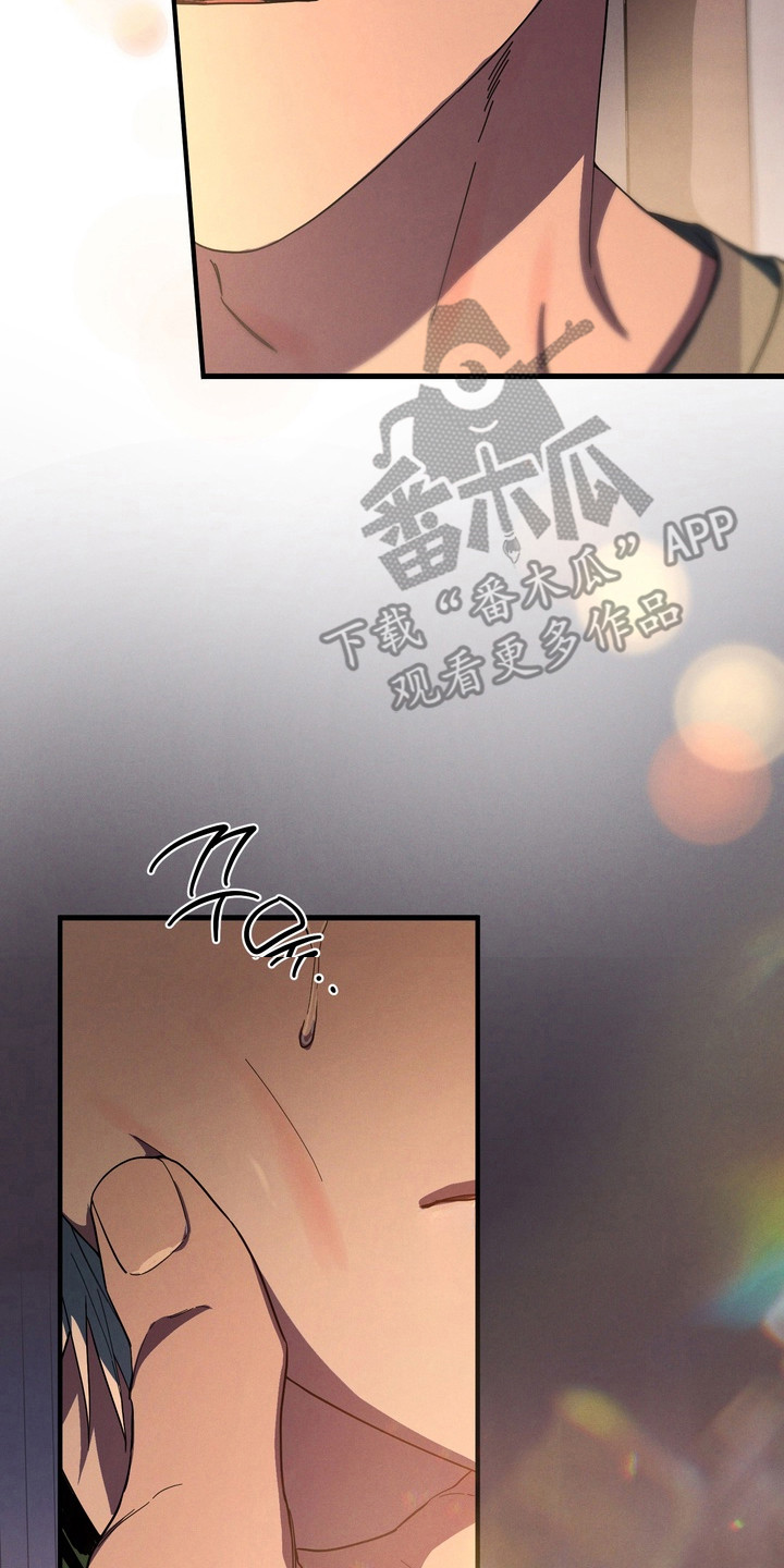 伪人室友漫画正版漫画,第46章：取舍3图