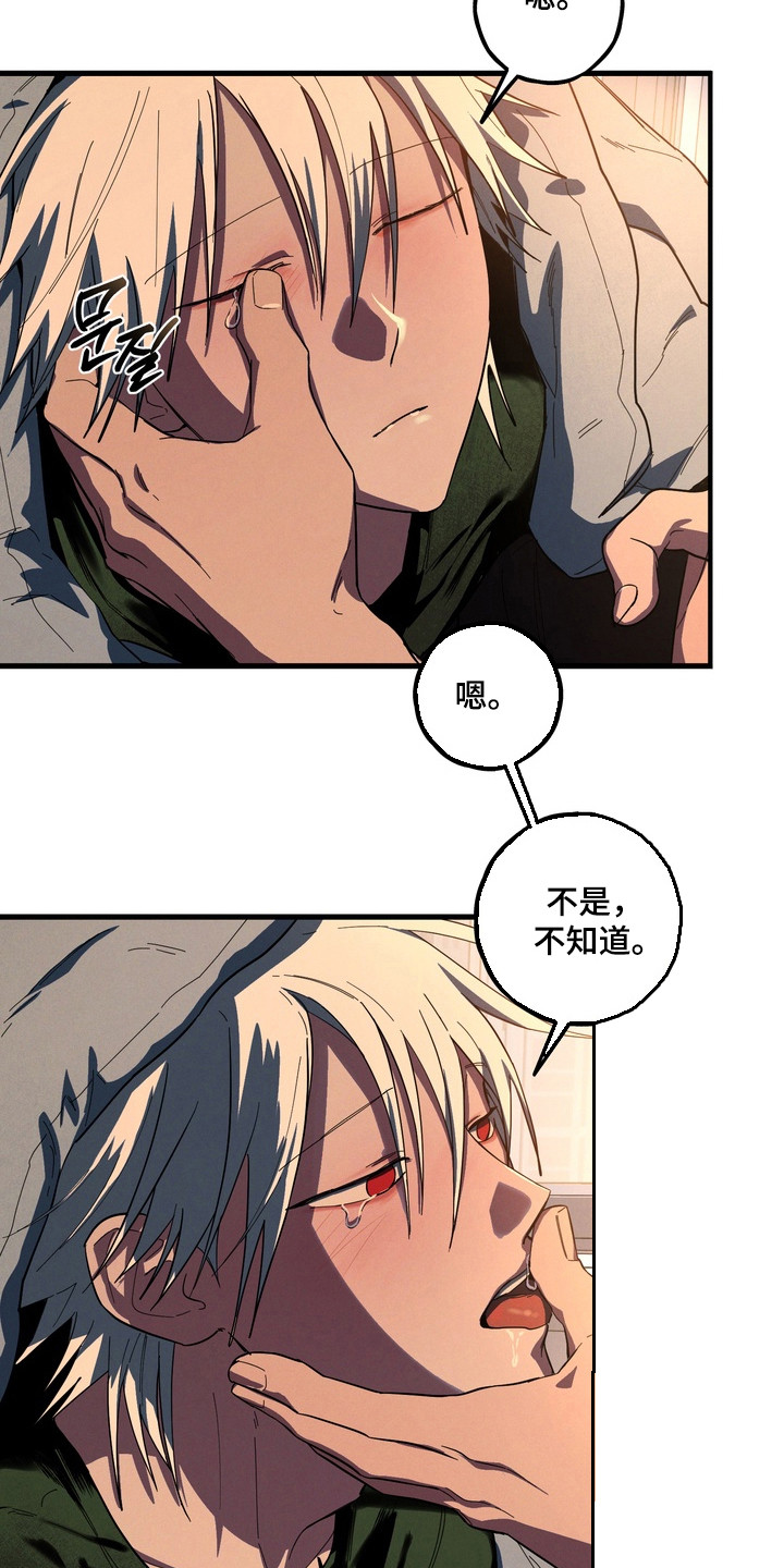 伪人室友漫画正版漫画,第46章：取舍5图