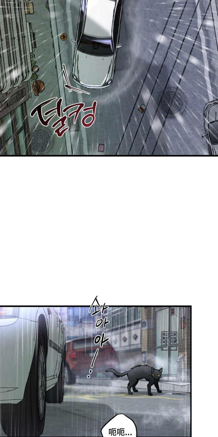 伪人室友山鬼舍友结局解析漫画,第36章：寻求真相4图