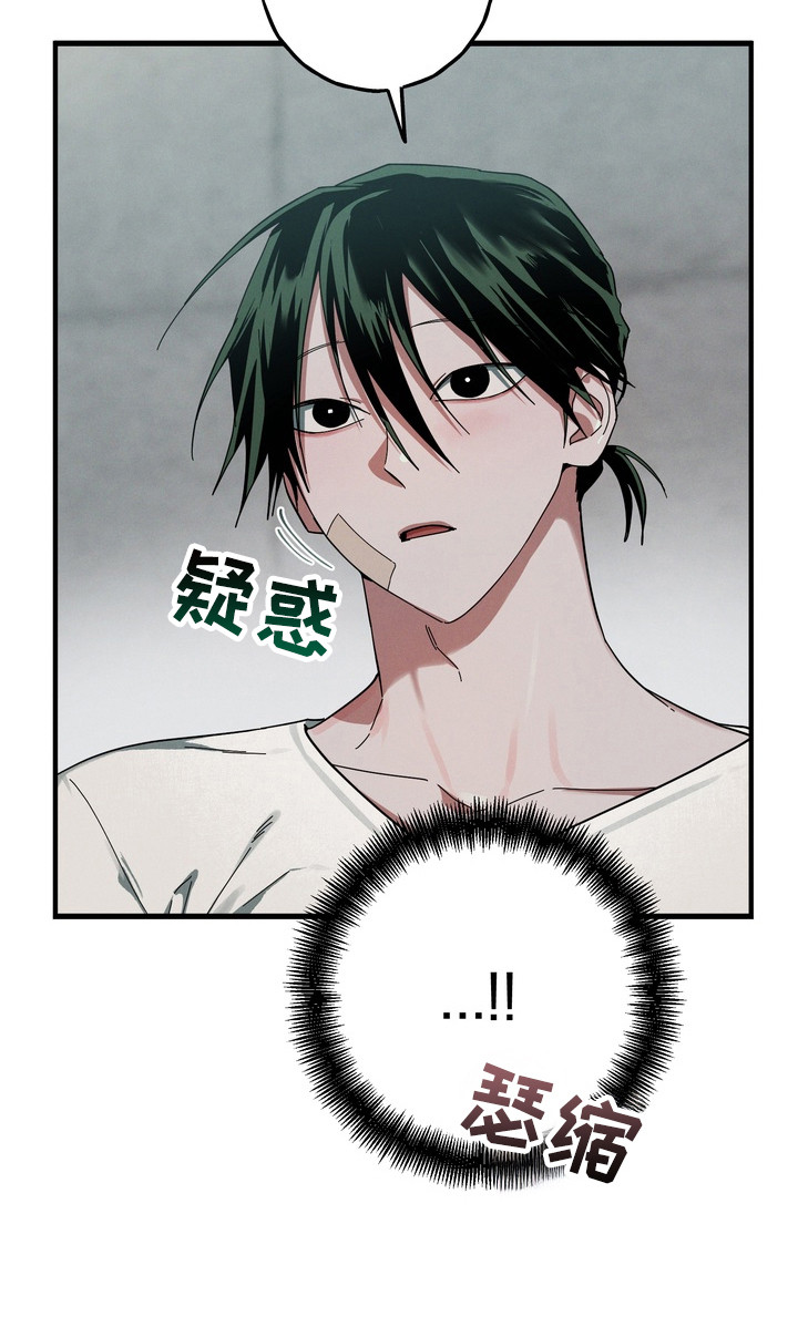 伪人室友热门章节漫画,第43章：一切都错了3图