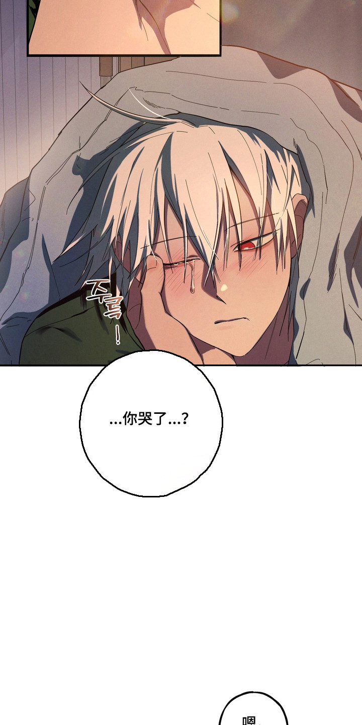 伪人室友漫画正版漫画,第46章：取舍4图