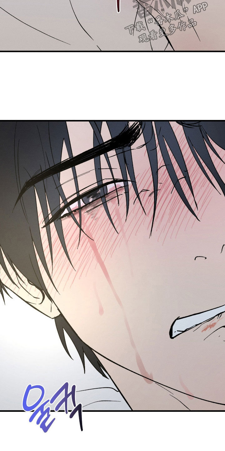 失控纠缠动画解说漫画,第48章：谢谢你（完结）4图