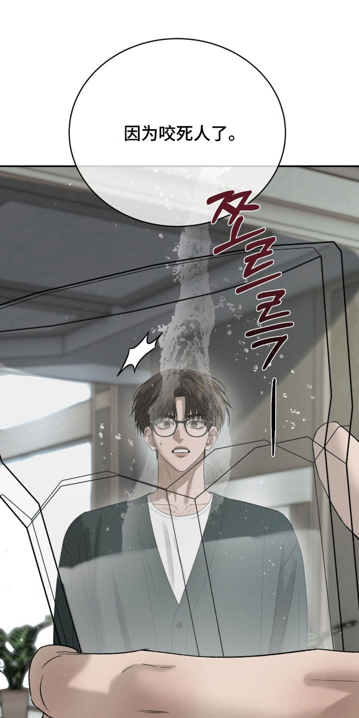 致命伪装韩漫又叫什么名字漫画,第54章：需要教育5图