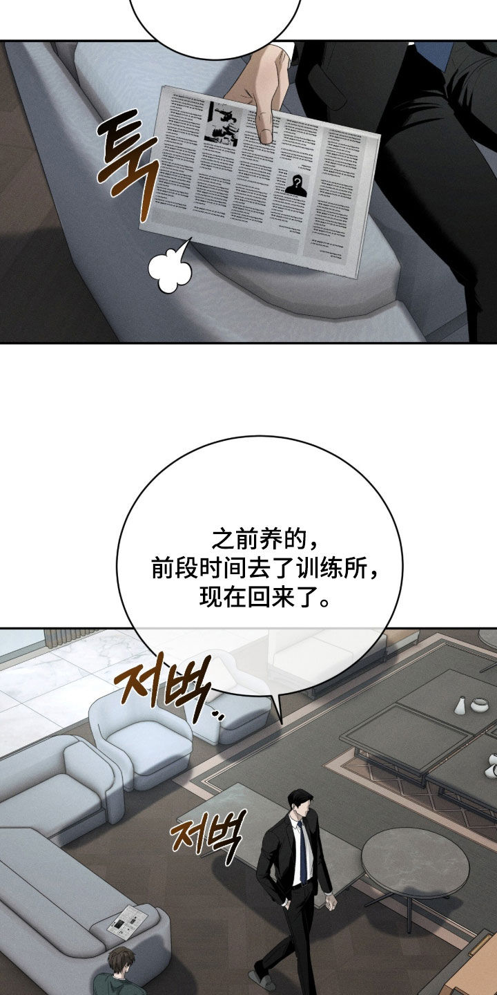 致命伪装韩漫又叫什么名字漫画,第54章：需要教育3图