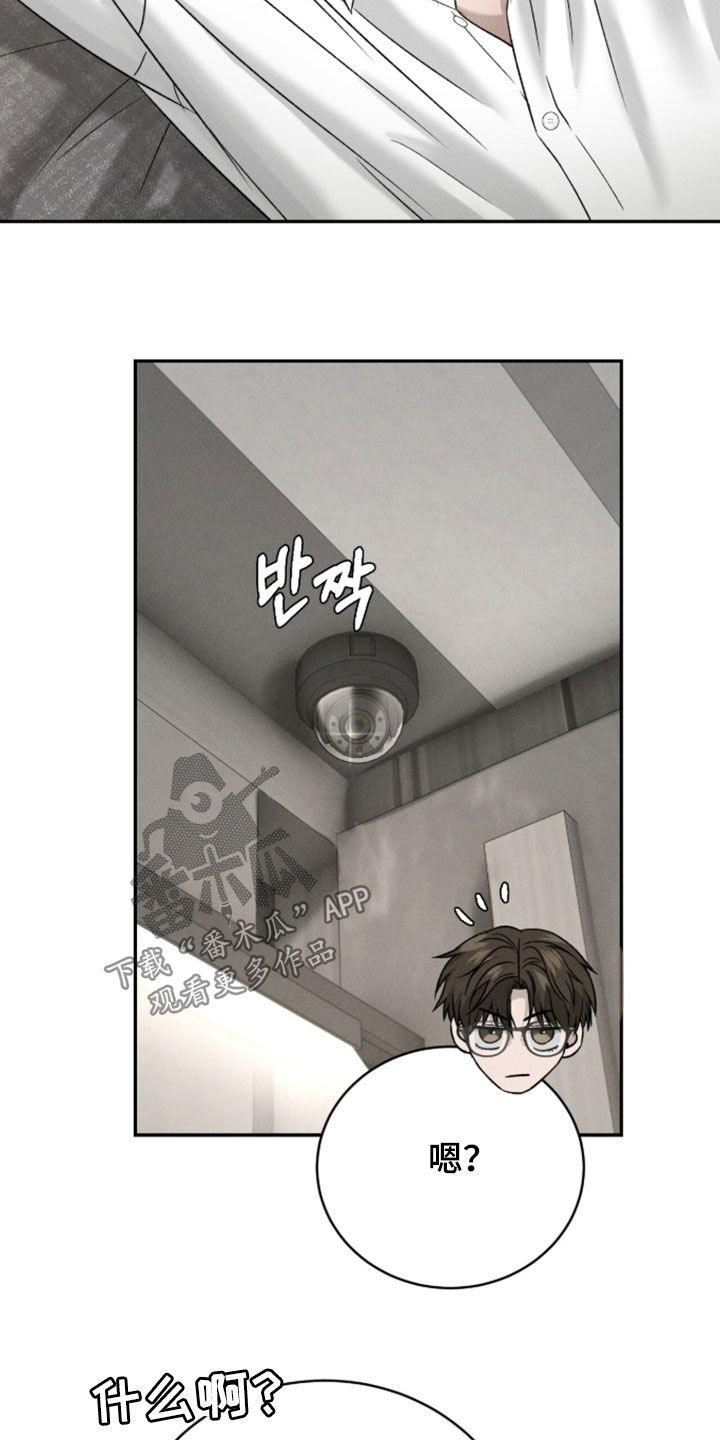 致命伪装小说评价漫画,第48章：我不会喝4图