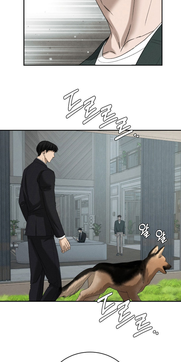 致命伪装韩漫又叫什么名字漫画,第54章：需要教育1图