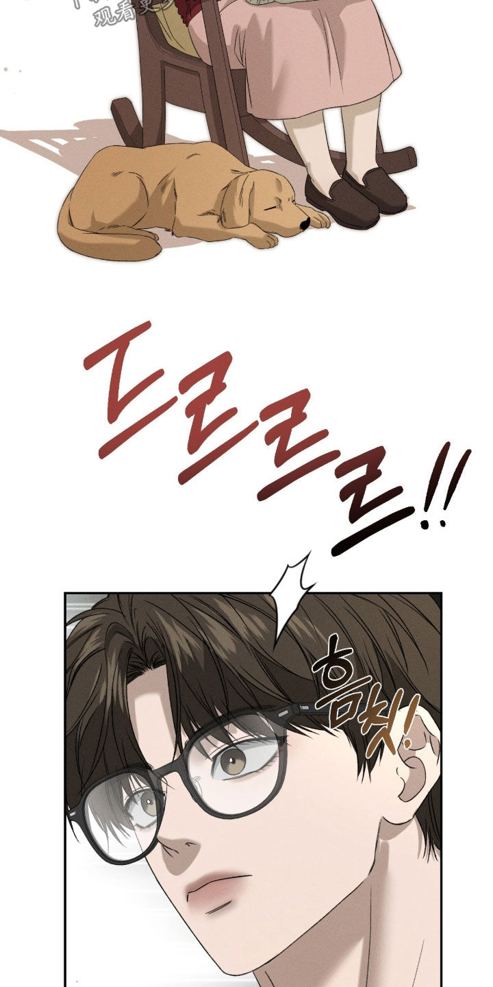 致命伪装韩漫又叫什么名字漫画,第54章：需要教育5图