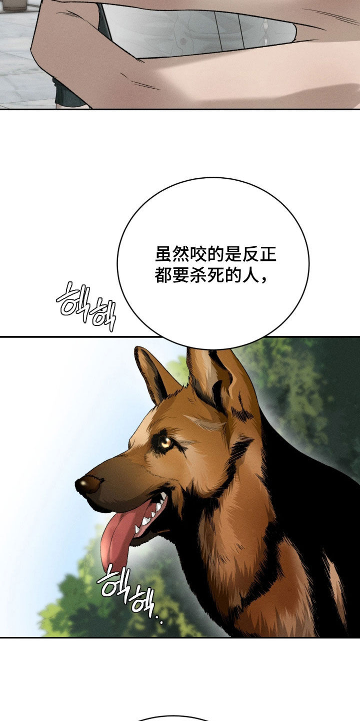 致命伪装韩漫又叫什么名字漫画,第54章：需要教育1图
