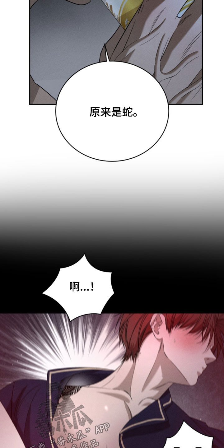 致命伪装最新到第几章了漫画漫画,第52章：睡不着3图