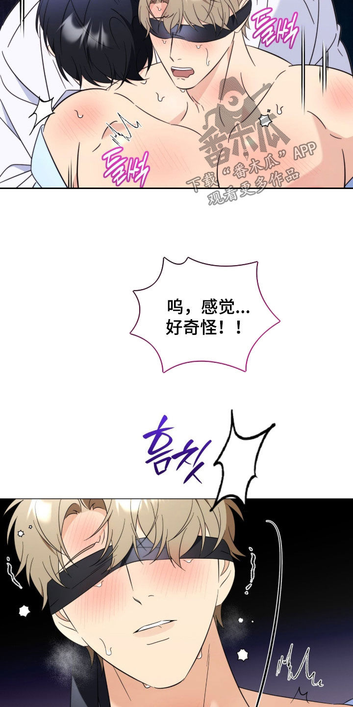 月季樱霞和藤宝贝哪个好漫画,第48章：太陌生了1图