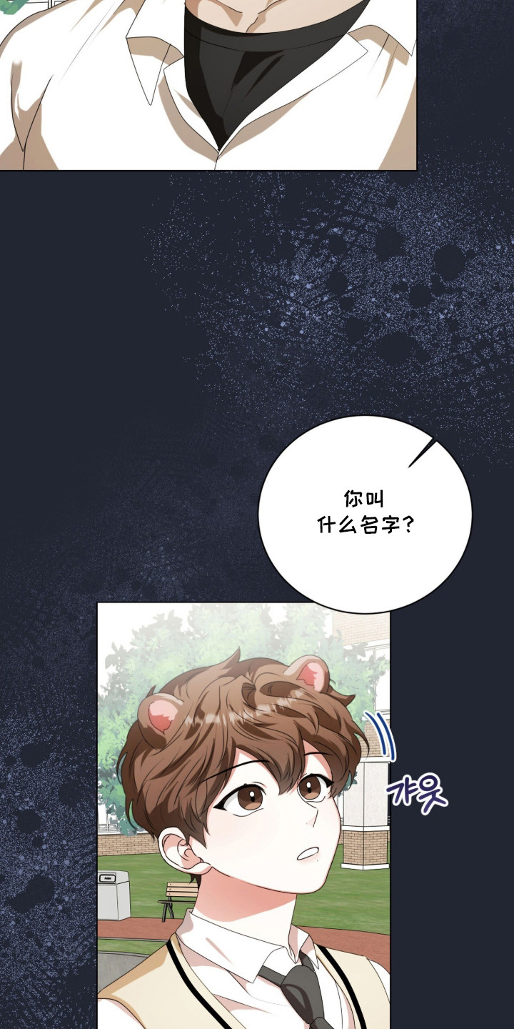猛兽勿近允泰剧情漫画,第54章：跟踪狂2图